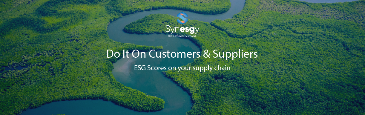 Synesgy customer and suppliers banner