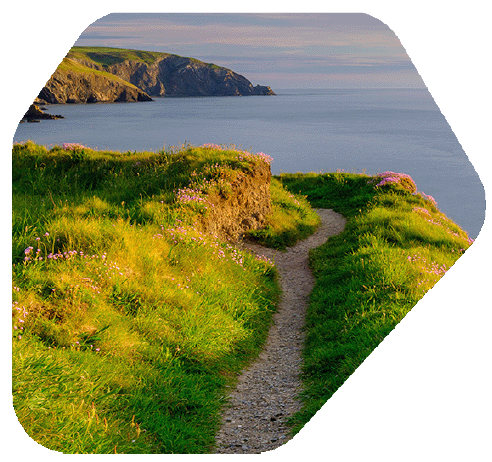 Green pathway