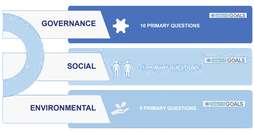 Questionnaire data preview